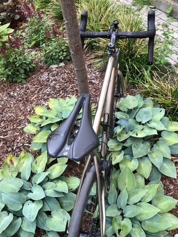 Used Custom Myrad titan gravel 2x12 Force 2023 Road & Gravel — image 4 of 11