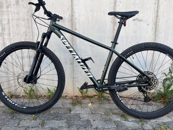 Used Specialized Rockhopper Expert 2022 2022 Mountainbike, Green, 29 — image 3 of 10