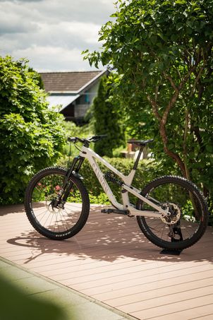 Canyon - Spectral Mullet CF 8 CLLCTV 2022, 2022