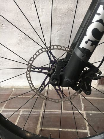 Used Radon Skeen Trail 8.0 2019 2019 Mountainbike, Light Gray, 29 — image 8 of 16
