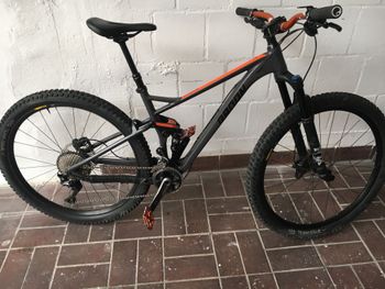 Used Radon Skeen Trail 8.0 2019 2019 Mountainbike, Light Gray, 29 — image 16 of 16