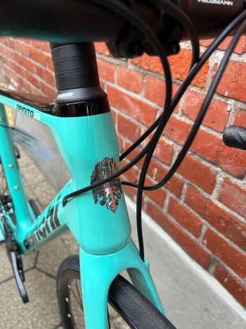 Used Bianchi NEW! Infinito XE/Disc Brakes/Voll Carbon/Shimano Ultegra/Size 53 & 55 & 57 2023 Road & Gravel, Grün — image 6 of 16