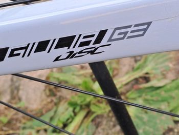 Used Sensa Giulia G3 Disc 105 2x12 2024 2024 Road & Gravel, White — image 8 of 21