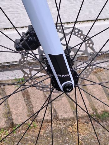 Used Sensa Giulia G3 Disc 105 2x12 2024 2024 Road & Gravel, White — image 6 of 21