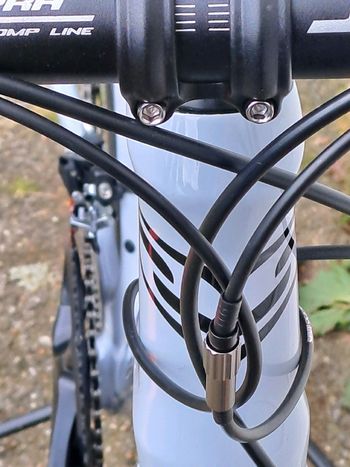 Used Sensa Giulia G3 Disc 105 2x12 2024 2024 Road & Gravel, White — image 15 of 21