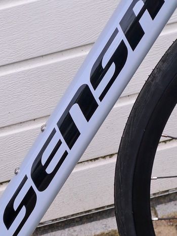 Used Sensa Giulia G3 Disc 105 2x12 2024 2024 Road & Gravel, White — image 20 of 21