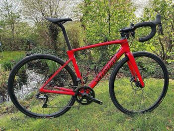 Specialized - Roubaix Comp - Shimano Ultegra Di2 2020, 2020