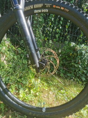 Used Santa Cruz Megatower S / Carbon C / 29 2019 Mountainbike, Green — image 11 of 13