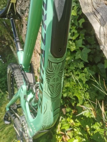 Used Santa Cruz Megatower S / Carbon C / 29 2019 Mountainbike, Green — image 5 of 13