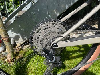 Used Canyon Lux Trail CF 6 2022 Mountainbike, Light Gray — image 4 of 12