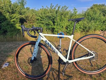 Used Canyon Grizl 6 2022 Road & Gravel, Grün — image 1 of 5
