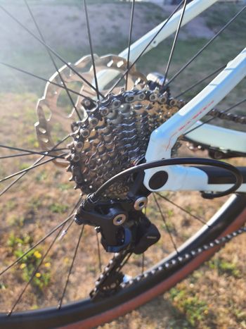 Used Canyon Grizl 6 2022 Road & Gravel, Grün — image 3 of 5