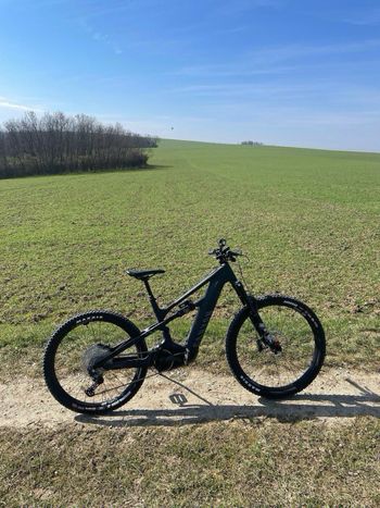 Brugt Canyon Strive:ON CFR Underdog 2024 2024 Mountainbike — billede 7 af 8