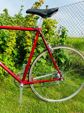 Used Colnago Nuovo Mexico 1987 Road & Gravel, Red — image 15 of 21