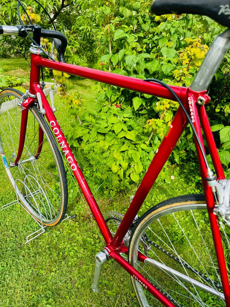 Used Colnago Nuovo Mexico 1987 Road & Gravel, Red — image 20 of 21