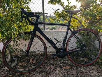 Canyon - Endurace CF 7.0 2019, 2019