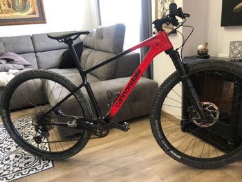 Cannondale - Scalpel HT Carbon 4 2022, 2022