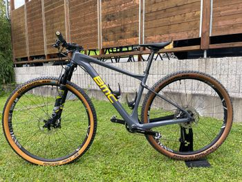 Used BMC TEAMELITE 01 TWO 2019 Mountainbike, Hellgrau — image 3 of 13