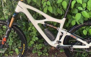 Ibis - Mojo Frameset Only 2023, 2023