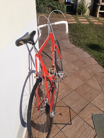 Gebrauchtes WILIER TRIESTINA 1985 Road & Gravel, Rot — Bild 19 von 22