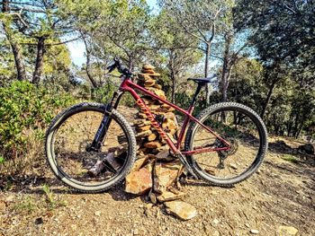 Specialized - Chisel Hardtail 2022, 2022