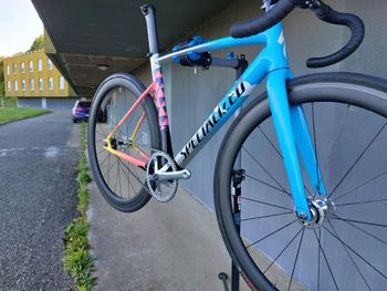 Used Specialized Allez Sprint Track Frameset – Red Hook Crit LTD 2019 2019 Road & Gravel, Blue — image 8 of 26
