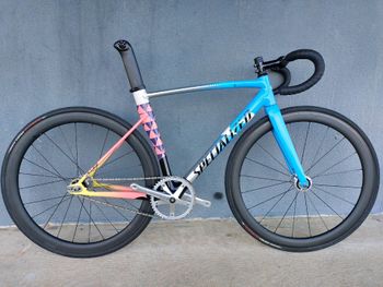 Used Specialized Allez Sprint Track Frameset – Red Hook Crit LTD 2019 2019 Road & Gravel, Blue — image 1 of 26