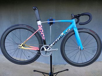Used Specialized Allez Sprint Track Frameset – Red Hook Crit LTD 2019 2019 Road & Gravel, Blue — image 13 of 26