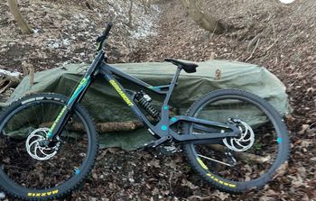 Used Bergamont Straitline Team 2019 Mountainbike, Black — image 3 of 6
