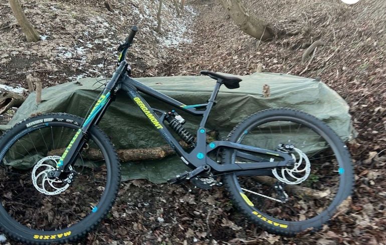Used Bergamont Straitline Team 2019 Mountainbike, Black — image 3 of 6