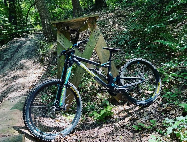 Used Bergamont Straitline Team 2019 Mountainbike, Black — image 4 of 6