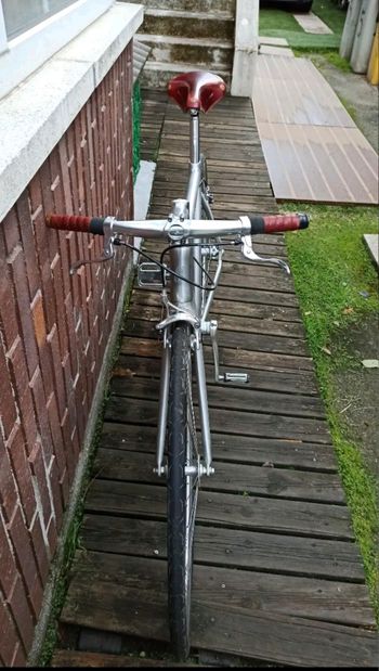 Used Schindelhauer Hektor 2022 2022 Road & Gravel, Light Gray — image 4 of 4