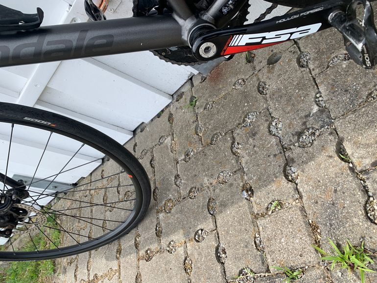 Used Cannondale Synapse Aluminium Disc SE 105 2019 Road & Gravel, Light Gray — image 5 of 5