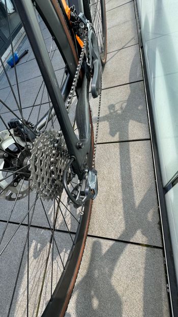 Used Pinarello GAN GR DISK 2019 Frameset 2019 Road & Gravel, Light Gray — image 11 of 12