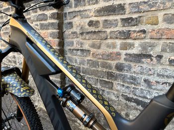 Used Canyon Spectral CFR 9.0 SL 2019 Mountainbike, Schwarz — image 5 of 15