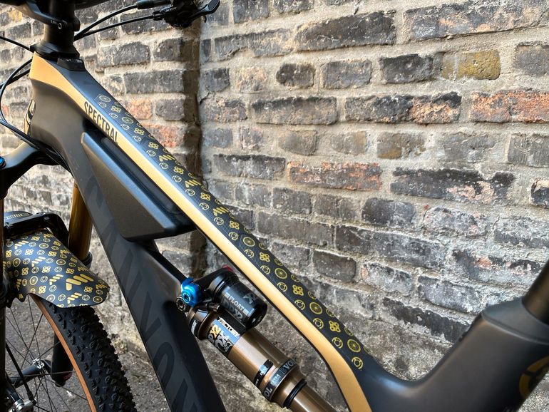 Used Canyon Spectral CFR 9.0 SL 2019 Mountainbike, Schwarz — image 5 of 15