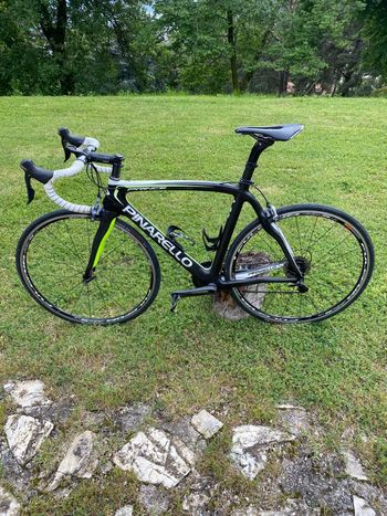 Pinarello - Prince Carbon, 2016