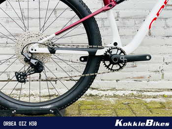 Gebrauchtes Orbea OIZ H30 2023 2023 Mountainbike, Weiß, 29 — Bild 3 von 6