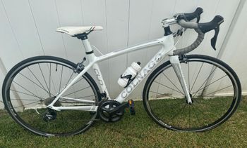 Colnago endurance bike 2019 on sale