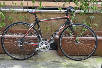 Specialized - Roubaix Triple 2010, 2010