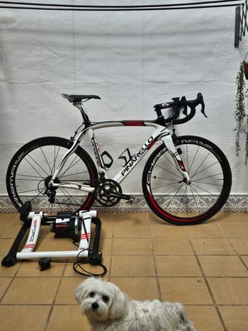 Pinarello - Dogma 60.1 Frameset 2011, 2011