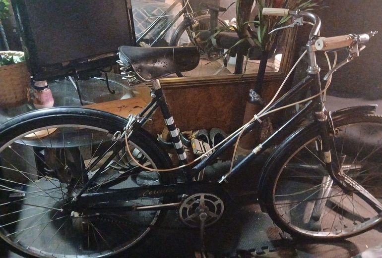 Used Vintage Hercules 1960 Road & Gravel — image 1 of 5