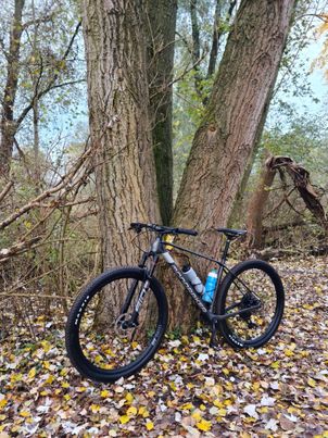 Mondraker - PODIUM CARBON RR SL 2022, 2022