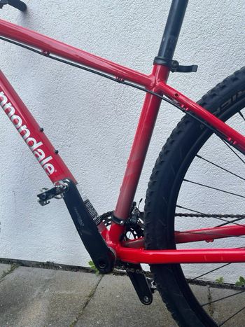 Used Cannondale Trail 2 2023 2023 Mountainbike — image 6 of 18