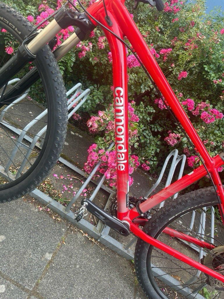 Used Cannondale Trail 2 2023 2023 Mountainbike — image 3 of 18