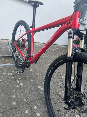 Used Cannondale Trail 2 2023 2023 Mountainbike — image 15 of 18