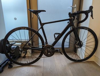 Canyon - Endurace CF SL Disc 8.0 2020, 2020