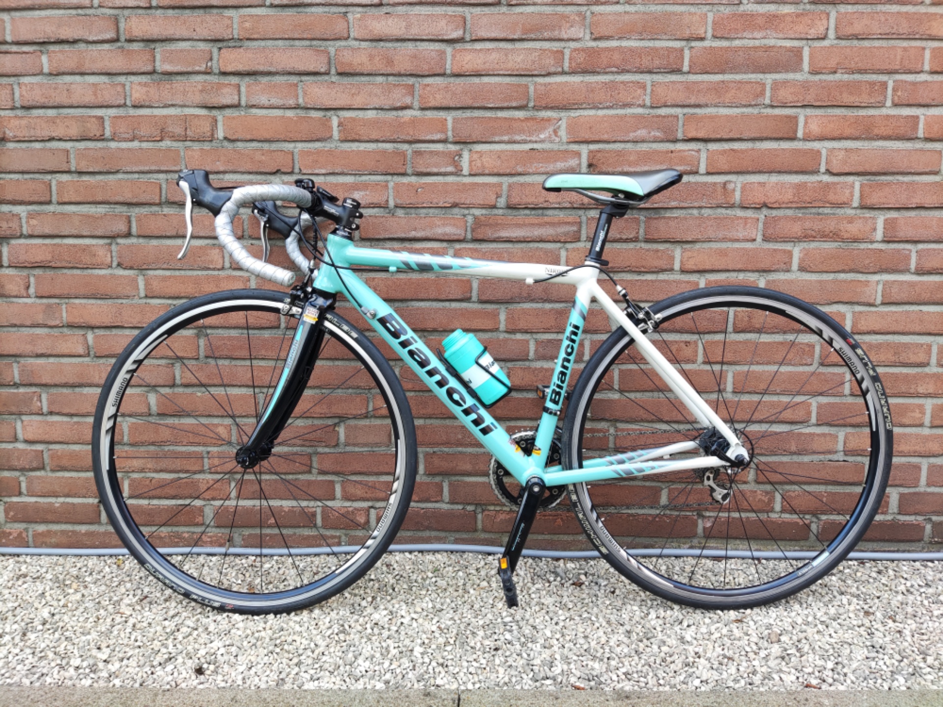 Bianchi Via Nirone Sora Dama