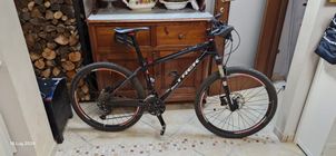 Trek - 5500 OCLV Carbon, 2009