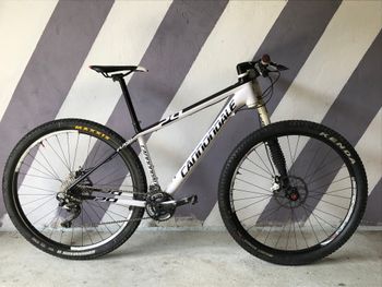 Cannondale - Lefty F29, 2012